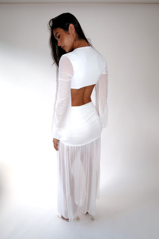 Alba sheer dress